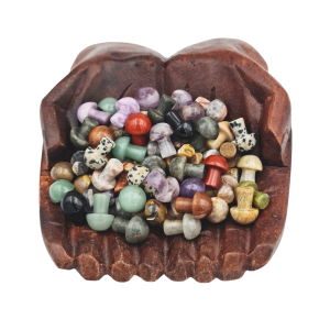 Mixed Gemstone Mushrooms - Random